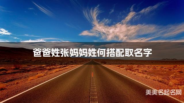 有涵养的小男孩名字，爸爸姓张妈妈姓何搭配取名