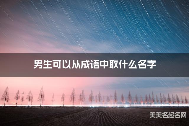 男生可以从成语中取什么名字