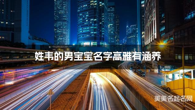 姓韦的男宝宝名字高雅有涵养