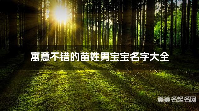 寓意不错的苗姓男宝宝名字大全