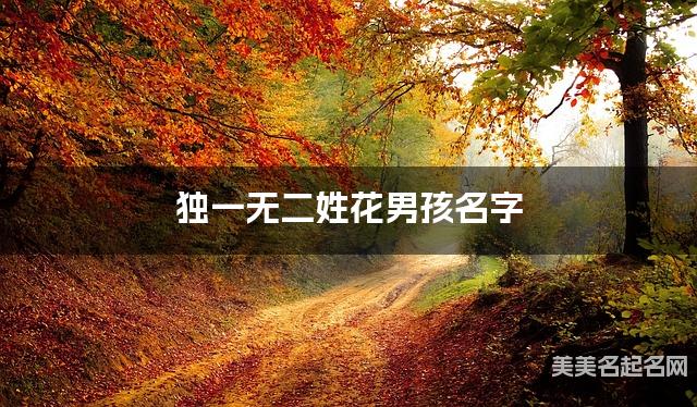 在线取名起名 独一无二姓花男孩名字 在线取名起名 独一无二姓花男孩名字