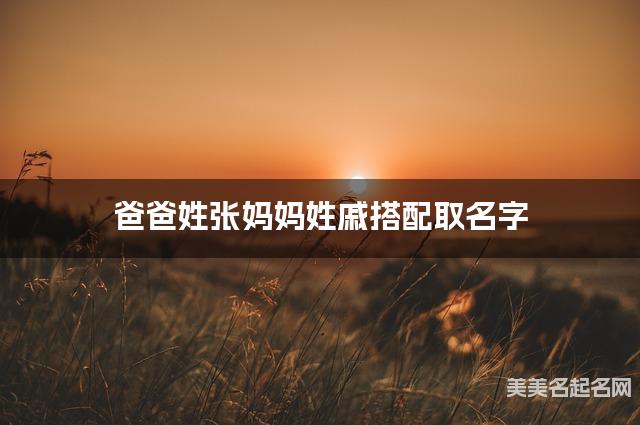 张戚姓结合取小男孩名字如何取