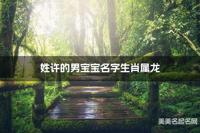 姓许的男宝宝名字生肖属龙 有诗意的宝宝名字大全