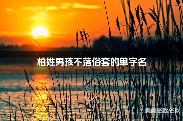 柏姓男孩不落俗套的单字名  有寓意的宝宝单字名大全