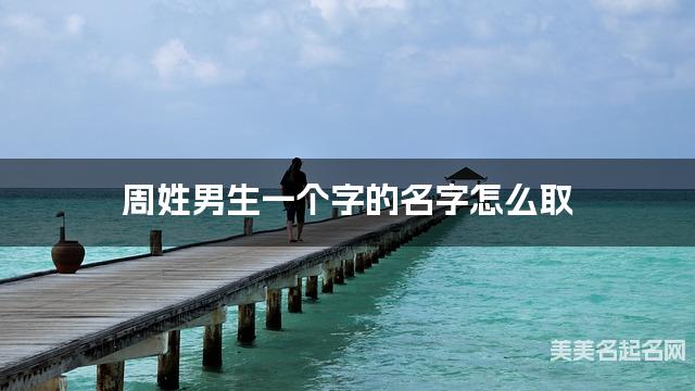 周姓男生一个字的名字怎么取 有创意的宝宝单字名大全