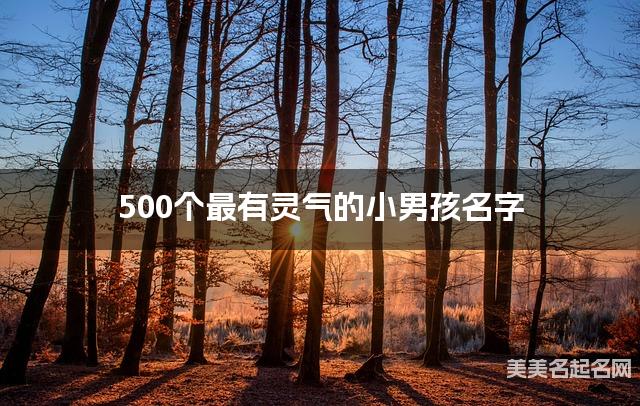 500个最有灵气的小男孩名字 宝宝免费取名大全