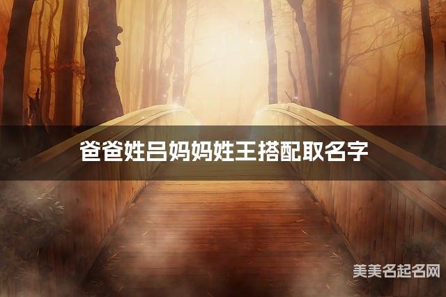爸爸姓吕妈妈姓王取名字 男生儒雅大气的名字