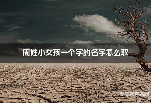 周姓小女孩一个字的名字怎么取 有诗意的宝宝单字名大全