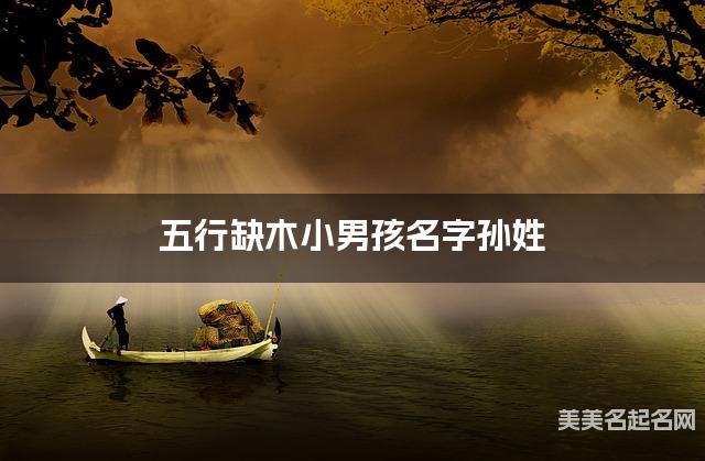 五行缺木小男孩名字孙姓 有寓意的宝宝名字大全