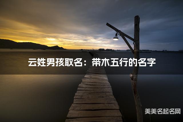 云姓男孩取名:带木五行的名字(有气质) 云姓男孩取名:带木五行的名字(有气质)