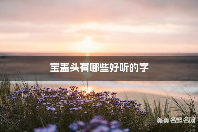宝盖头有哪些好听的字，宝盖头的字男宝宝起名字