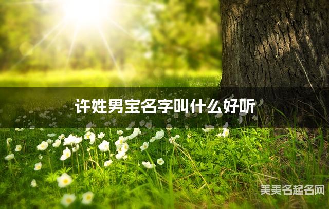 取名字在线大师取名 许姓男宝名字叫什么好听