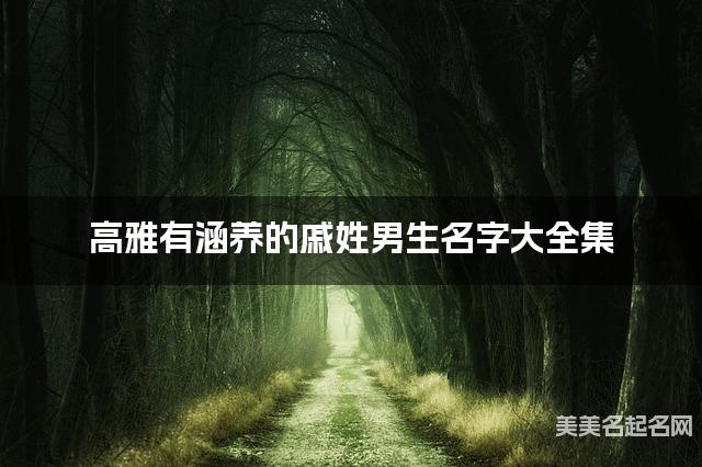 高雅有涵养的戚姓男生名字大全集