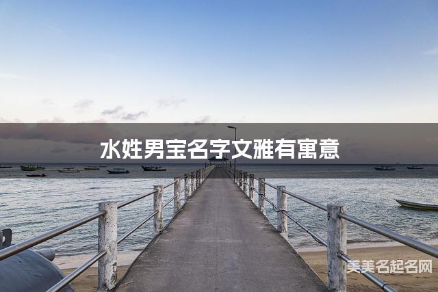 在线取名起名 水姓男宝名字文雅有寓意