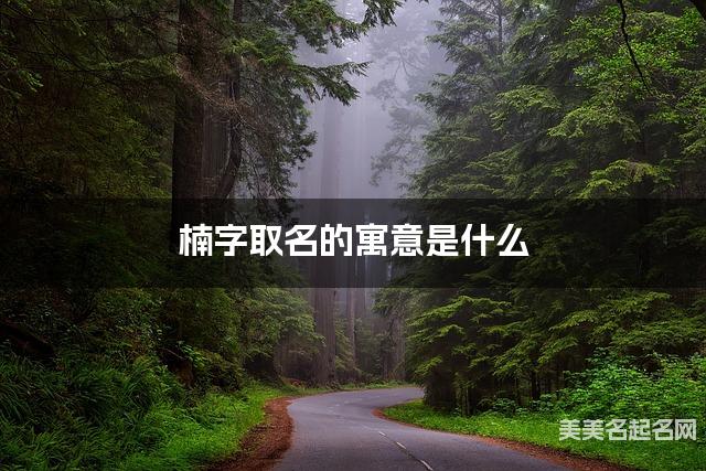 楠字取名的寓意是什么
