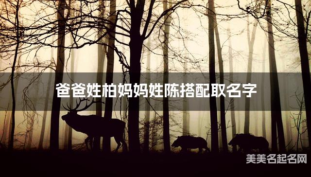 爸爸姓柏妈妈姓陈搭配取名字