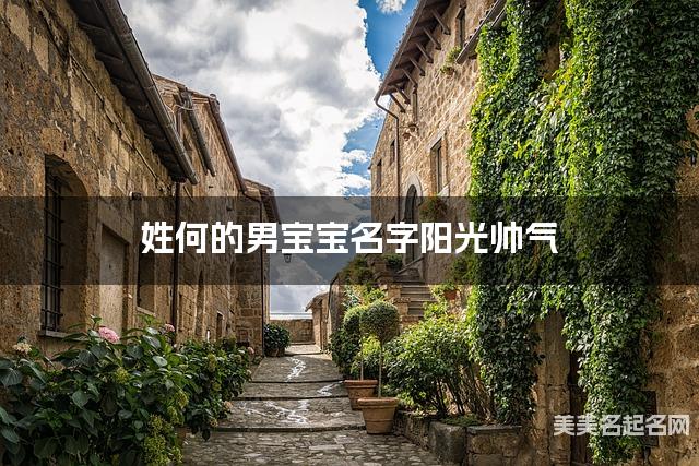 姓何的男宝宝名字阳光帅气