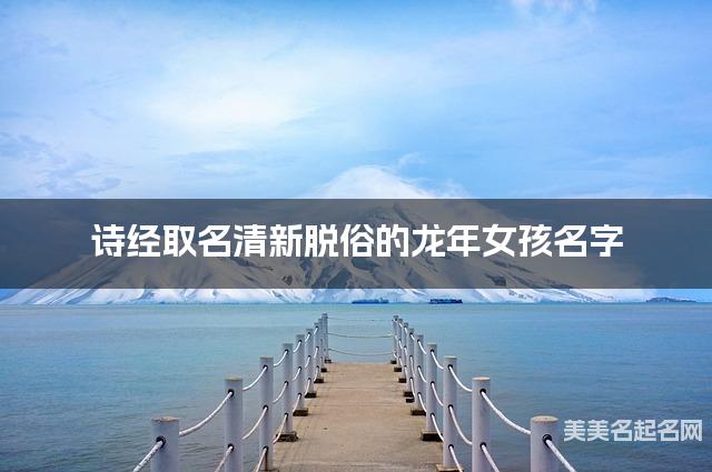 诗经取名清新脱俗的龙年女孩名字