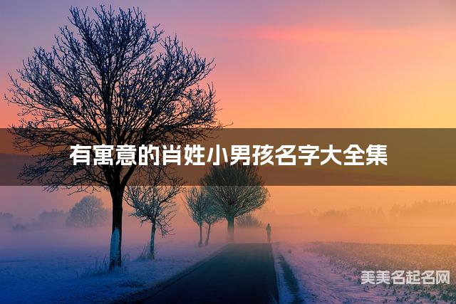 有寓意的肖姓小男孩名字大全集