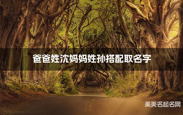 爸爸姓沈妈妈姓孙取名字 女宝冷门独特稀少的名字