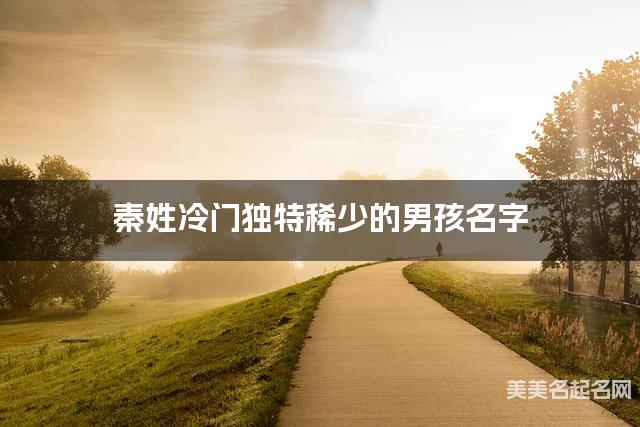 秦姓冷门独特稀少的男孩名字 秦姓冷门独特稀少的男孩名字