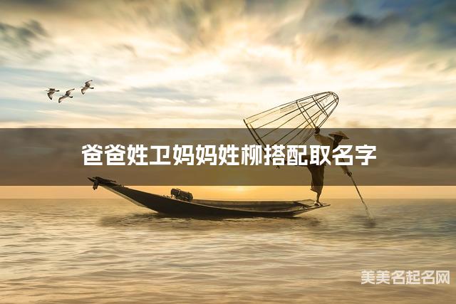 爸爸姓卫妈妈姓柳搭配取名字