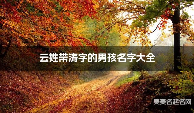 云姓带涛字的男孩名字大全