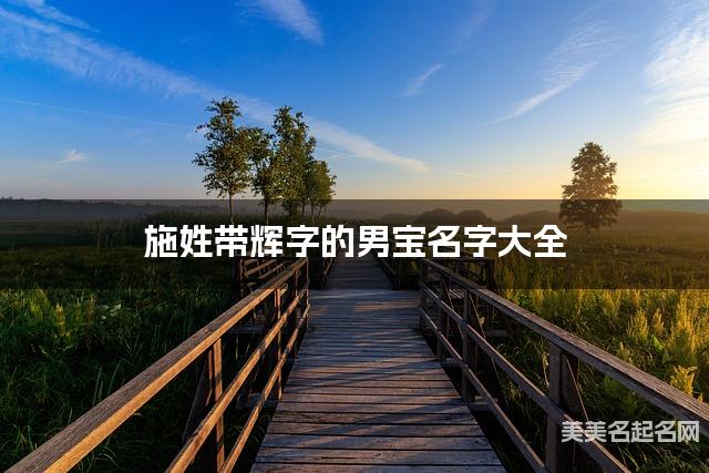 施姓带辉字的男宝名字大全