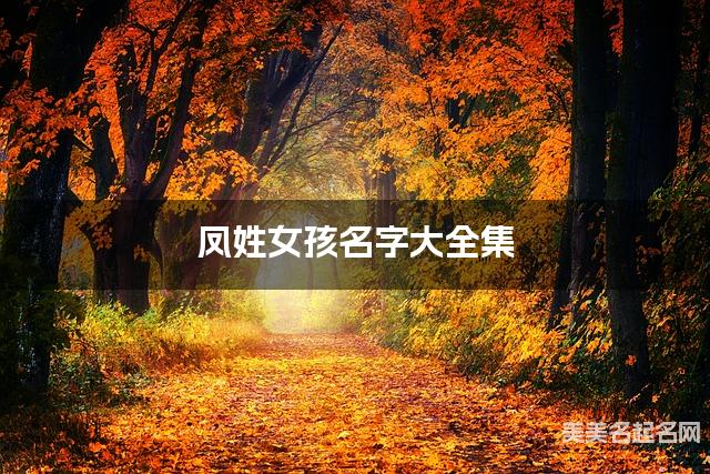 凤姓女孩名字大全集（简单顺口300个）