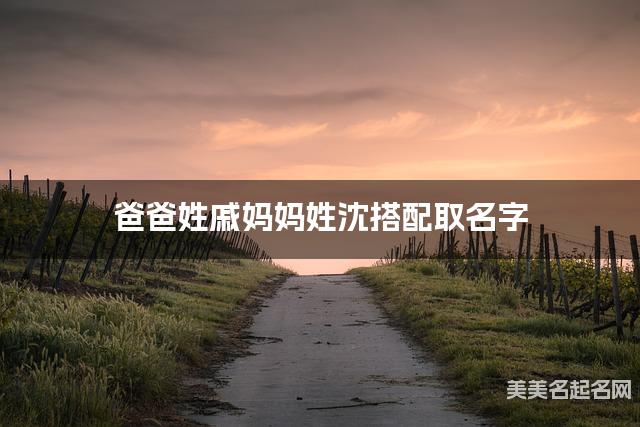 戚姓和沈姓搭配取名好听的宝宝名字有哪些