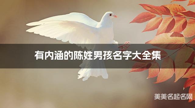 有內涵的陳姓男孩名字大全集