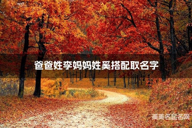 爸爸姓李妈妈姓奚搭配取名字