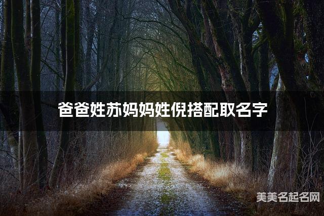 将苏姓和倪姓结合取名字，好听有新意的小男孩名字推荐