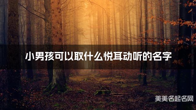 国学大师取名 小男孩可以取什么悦耳动听的名字
