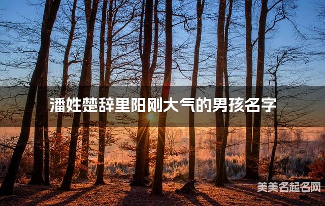 取名字大全免费查询 潘姓楚辞里阳刚大气的男孩名字