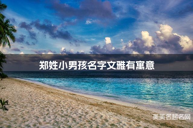 国学大师取名 郑姓小男孩名字文雅有寓意