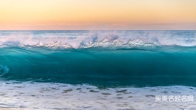 五行取名大全:2026精选带木的女生名字 五行取名大全:2026精选带木的女生名字