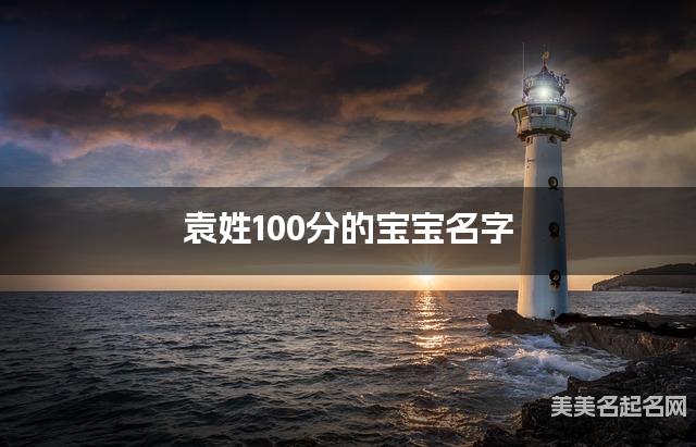 袁姓100分的宝宝名字