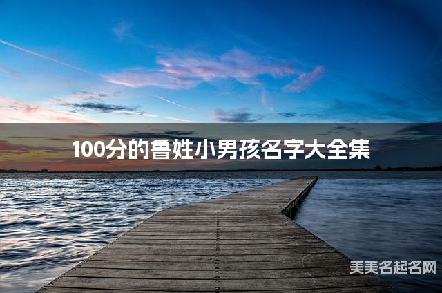 100分的鲁姓小男孩名字大全集