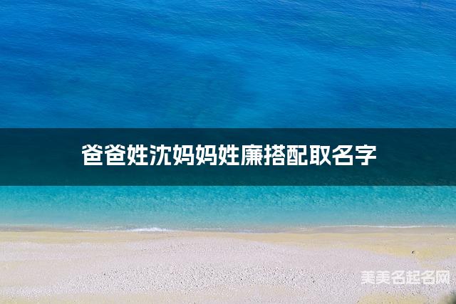 爸爸姓沈妈妈姓廉搭配取名字
