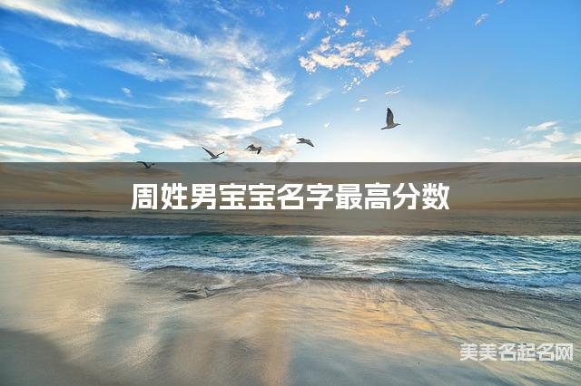 起名取名平台 周姓男宝宝名字最高分数