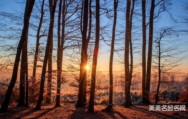 姓杨两个字独特好听的小男孩名字鉴赏