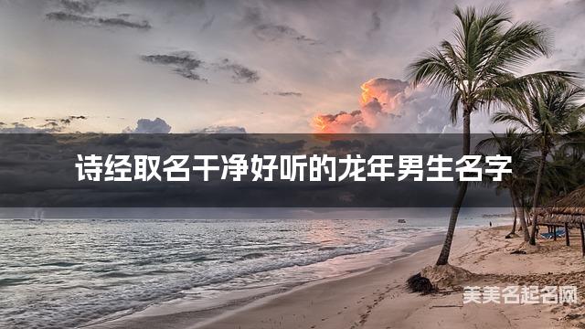 诗经取名干净好听的龙年男生名字