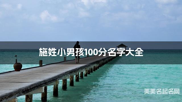 施姓小男孩100分名字大全