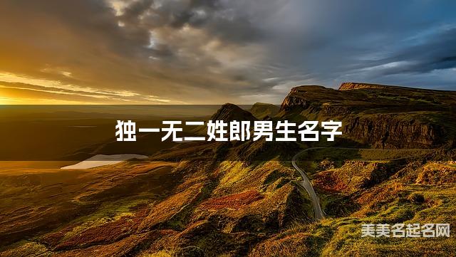 国学大师取名 独一无二姓郎男生名字