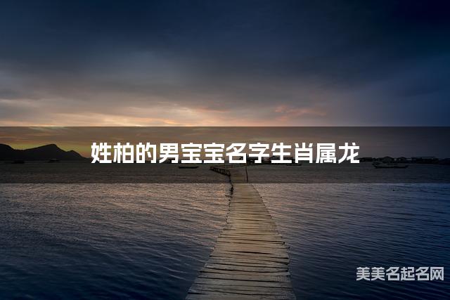 姓柏的男宝宝名字生肖属龙 有诗意的宝宝名字大全