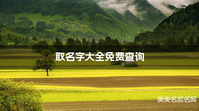 取名字大全免费查询 最有寓意的花姓宝宝名字