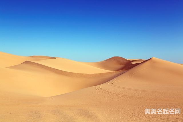 龙年宜用字:简单干净好听的龙年小男孩名字大全