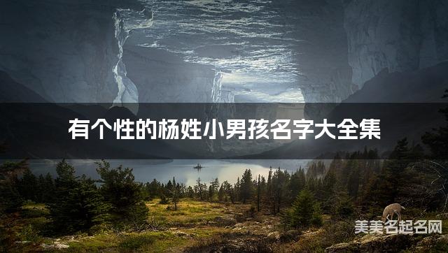 有个性的杨姓小男孩名字大全集