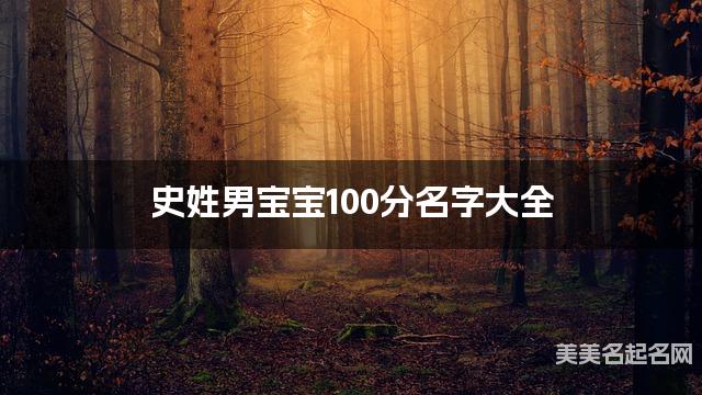 史姓男宝宝100分名字大全